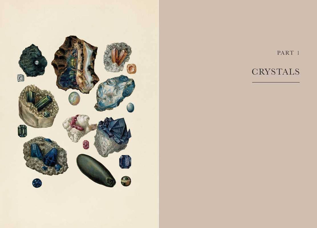 A Practical Guide to Magic in Nature by Jessica Lahoud