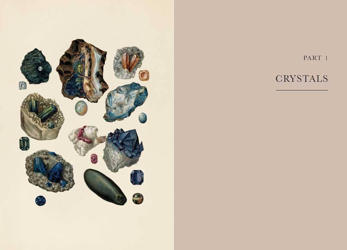 A Practical Guide to Magic in Nature by Jessica Lahoud