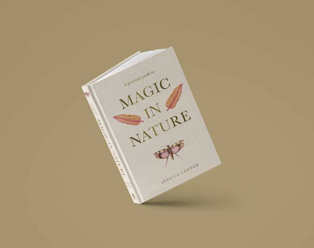 A Practical Guide to Magic in Nature by Jessica Lahoud
