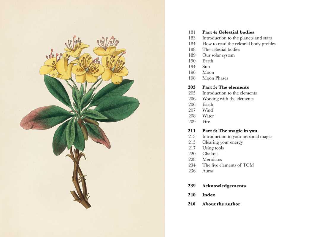 A Practical Guide to Magic in Nature by Jessica Lahoud