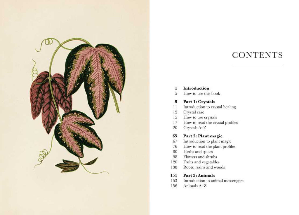 A Practical Guide to Magic in Nature by Jessica Lahoud